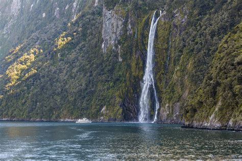 Milford Sound Das Must See Neuseelands The Travely