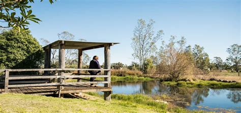 Jandowae-Athlone - Western Downs Queensland