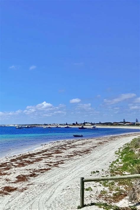 Lance Beach 02 ai – Lancelin Angling & Aquatic Club (Inc)