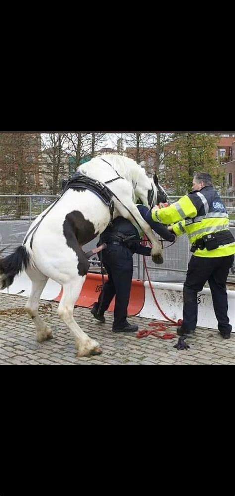 Fuck The Police R ACAB