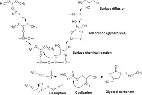 Schematic Presentation Of Reaction Mechanism Of Transesterification