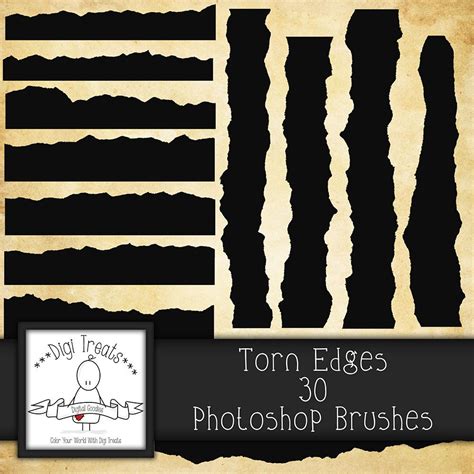 Torn Edges Photoshop Brush Set Brushes High Quality Etsy Uk