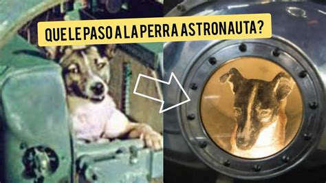 La Triste Verdad Detr S De La Perra Astronauta Historia De Laika La