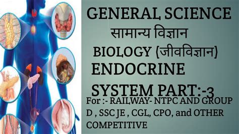 Biology Endocrine System Part For Rrb Ntpc Group D Ssc Cgl