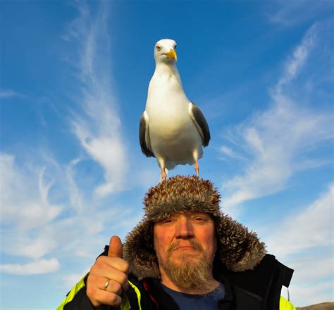 About us - Norway nature