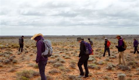 Drones Track Down Fragments Of Asteroid In Sa Outback Australian Aviation