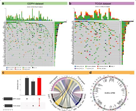 The Mutational Landscape Of 69 Genes In Patients With Diffuse Large B