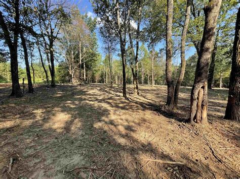 Greers Ferry Cleburne County Ar Undeveloped Land Lakefront Property