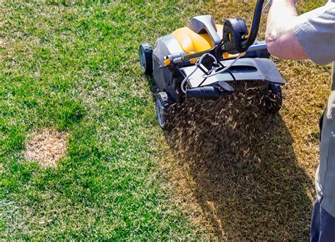 The Best Lawn Aerators Reviews Complete Guide With Pros Cons