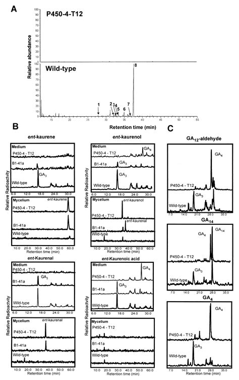 The P450 4 Gene Of Gibberella Fujikuroi Encodes Ent Kaurene Oxidase In