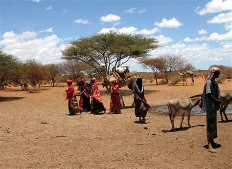 73 best images about Somalia on Pinterest | World cultures, Stand for ...