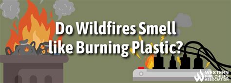 Do Wildfires Smell Like Burning Plastic WFCA