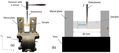 Sensors Free Full Text Using An Instrumented Hammer To Predict The