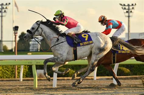 オメガが史上初の4連覇 競馬の東京大賞典 産経ニュース