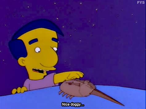 27 Milhouse Moments That Will Make You Laugh Every Time The Simpsons