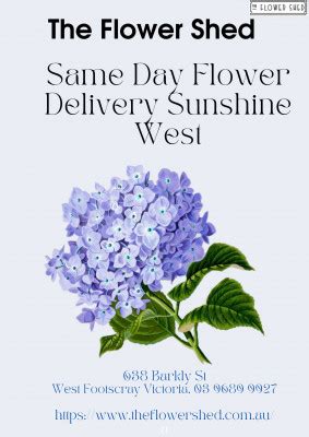 Flower Delivery Ascot Vale The Flower Shed