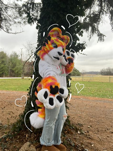 Sunset Tiger Fursuit Partial Premade Etsy