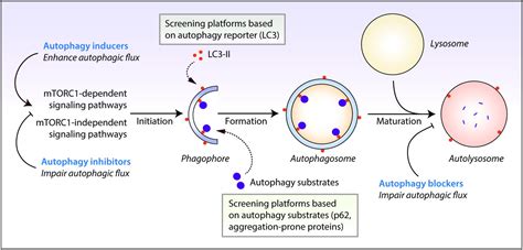 Frontiers Chemical Screening Approaches Enabling Drug Discovery Of