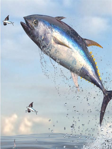 World Tuna Day 2022 Why Conservation Of Tuna Matters Aakash BYJU S Blog