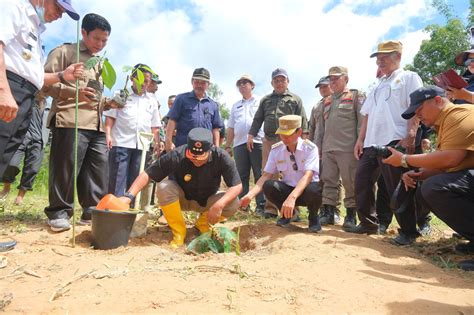 PJ GUBERNUR SULAWESI BARAT TANAM POHON SUKUN DI MAMASA BISA