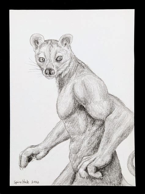 Weretober 2022 Day 15 Fossa By Spineblade On Deviantart