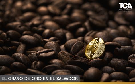 El Grano De Oro Tca