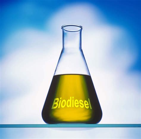 Bio Diesel Biodiesel Fuel B100 Biodiesel Biodiesel Oil Jatropha