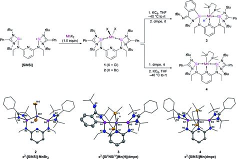 Synthetic Routes To Compound 3 And 4 Top And Molecular Structures Of