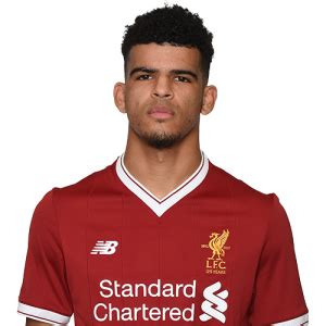 Dominic Solanke Latest News, Injury Update and Transfer News ...