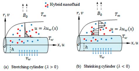 Coatings Free Full Text Homogeneousheterogeneous Chemical