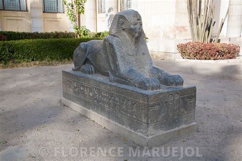 Florence Maruejol Photographe Colosse de Ramsès II