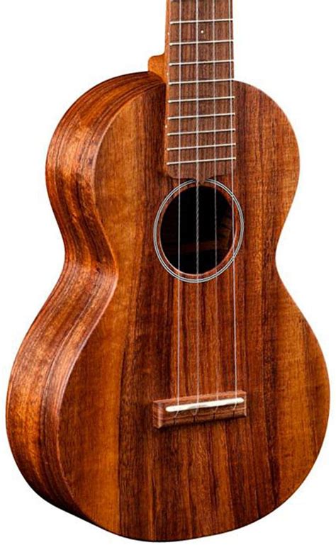 10 Best Concert Ukuleles Reviewed In Detail Jun 2024