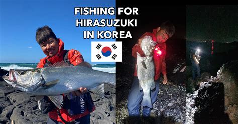 Fishing for Hirasuzki (Blackfin Seabass) with the best fishing guide in ...
