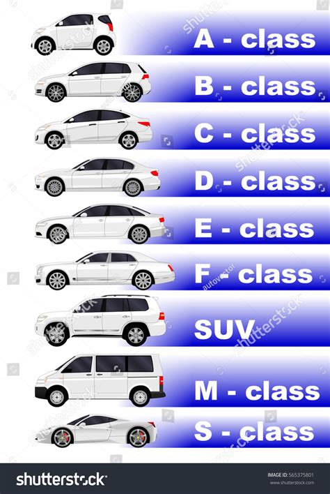 Realistic Car Set Car Classification Vector De Stock Libre De