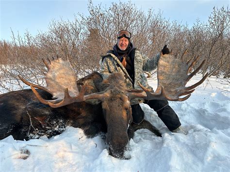 Alaska Bear Hunting And Moose Hunting Gallery