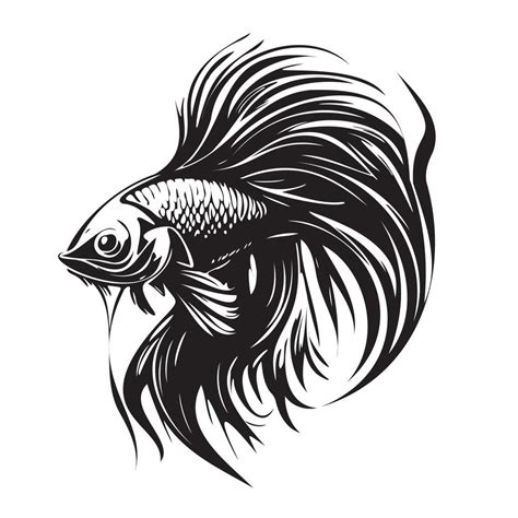 Betta Fish Vector Illustration Fighting Fish Logo Design