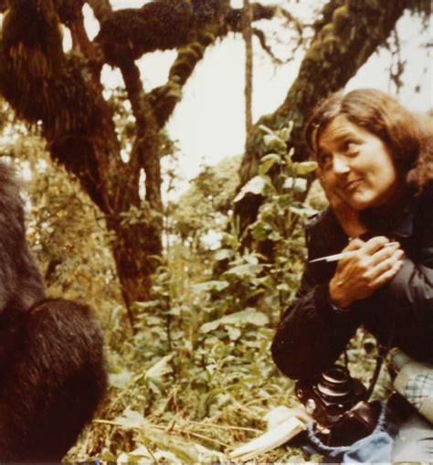 Dian Fossey - Dian Fossey Gorilla Fund