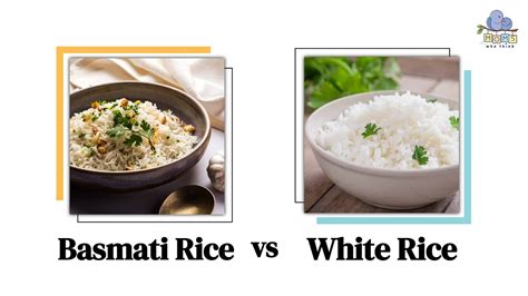 Basmati Rice Vs White Rice Which One Is Healthier