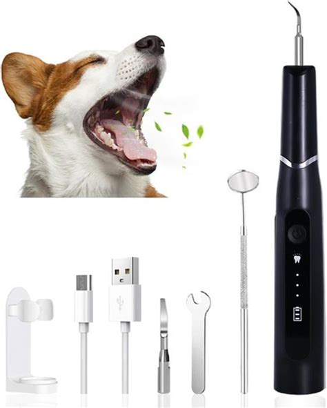 Nettoyeur Dentaire À Ultrasons Pour Animaux De Compagnie Kit De Soins Dentaires Lutte Contre Le