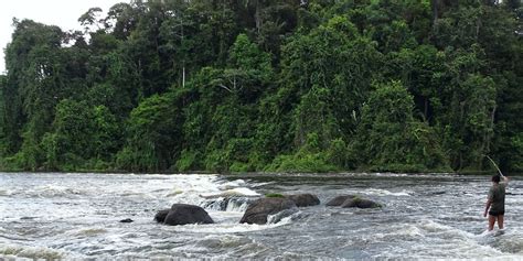 CAP SUR LES MONTS TUMUC HUMAC Guyane Evasion