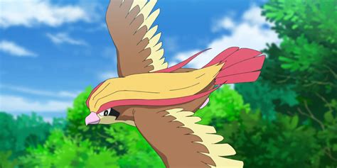 Pidgey Fly