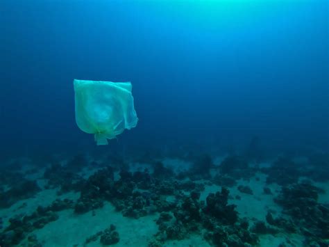 Más de 22 millones de toneladas de plásticos contaminan los océanos y