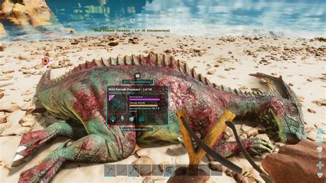 How to tame dinosaurs in Ark: Survival Ascended: Taming explained - Dot Esports