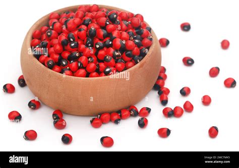 Abrus Precatorius Or Indian Liquorice Seeds Over White Background Stock