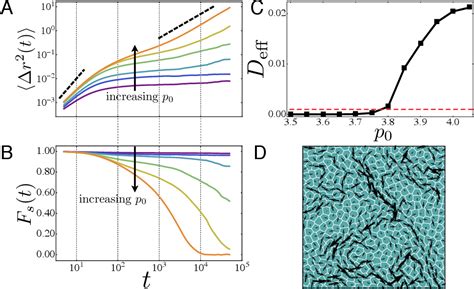 Figure 1 From Motility Driven Glass And Jamming Transitions In