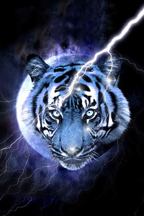 Blue Tiger Wallpaper Backgrounds For Smartphones Pinterest The