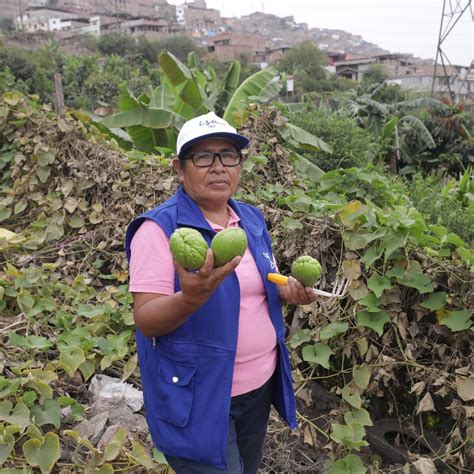 Proyectos Que Empoderan A Las Mujeres De Tres Países Infobae