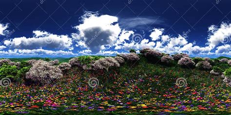 Flower Hills Spring Landscape Of Flowers Hdri Environment Map Stock