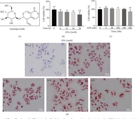 Figure 1 From Gentiopicroside Ameliorates Oxidative Stress And Lipid