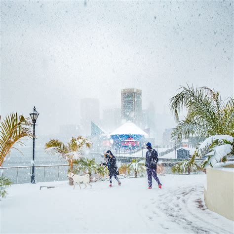 Snow Day: Baltimore Winter Wonderland - BmoreArt